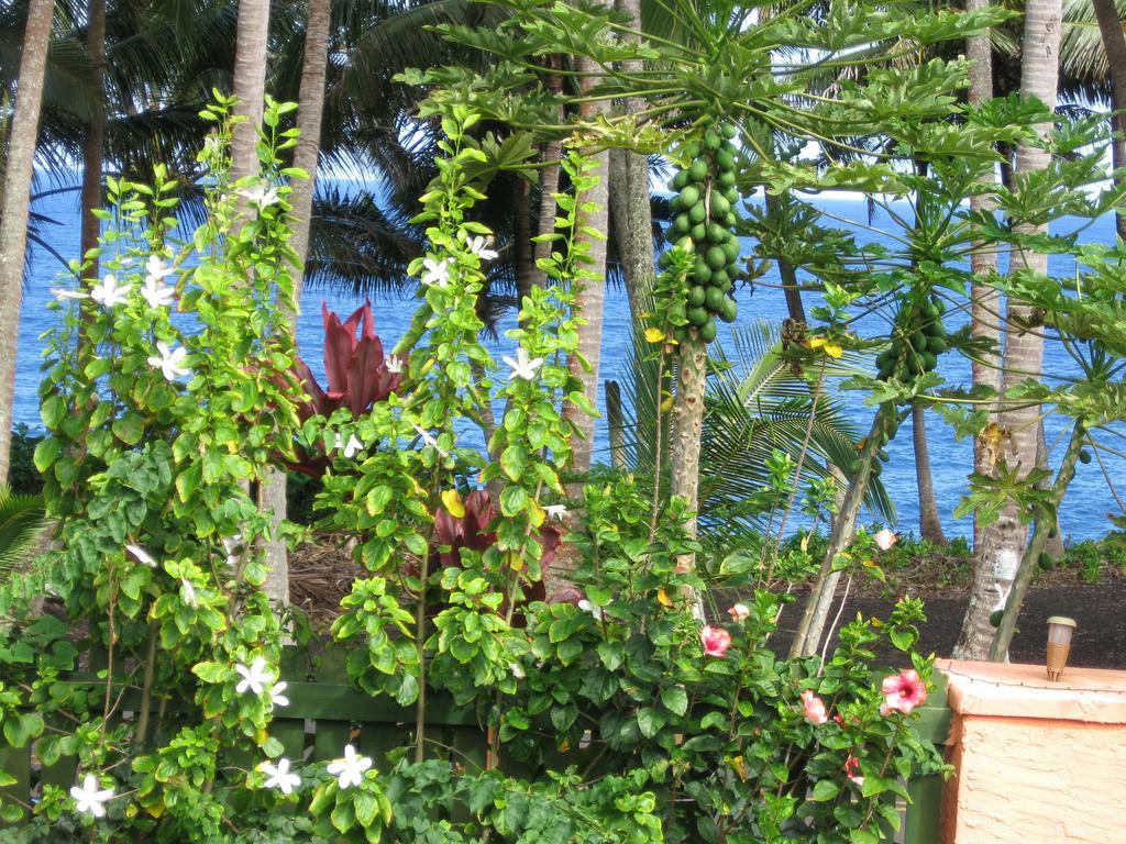 Oceanfront Cottage Near The Kalapana Lava Flows Kehena Chambre photo
