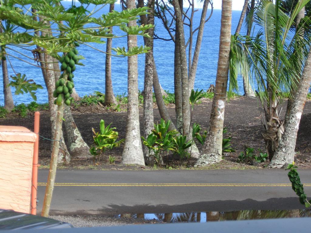 Oceanfront Cottage Near The Kalapana Lava Flows Kehena Chambre photo
