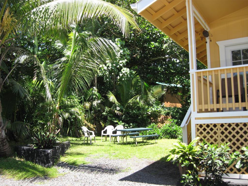 Oceanfront Cottage Near The Kalapana Lava Flows Kehena Chambre photo