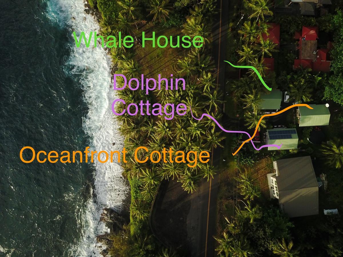 Oceanfront Cottage Near The Kalapana Lava Flows Kehena Extérieur photo